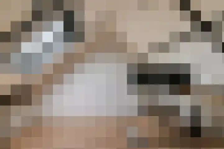 Klokbeker 25 Heesch thumbnail 21