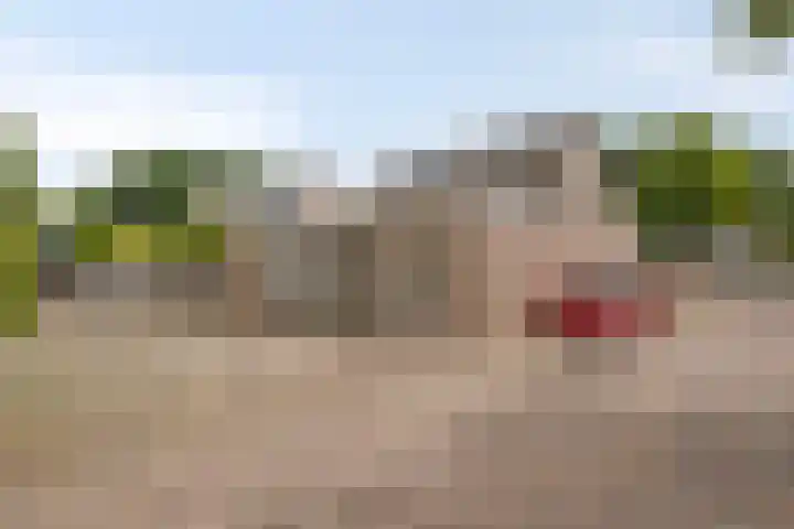 Klokbeker 25 Heesch thumbnail 22