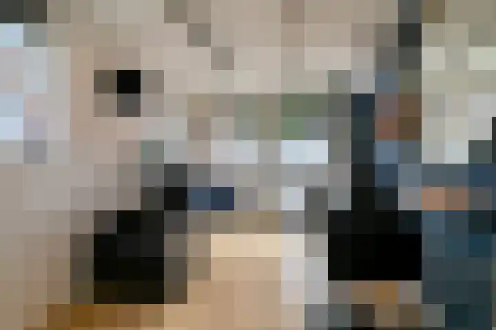 Klokbeker 25 Heesch thumbnail 23