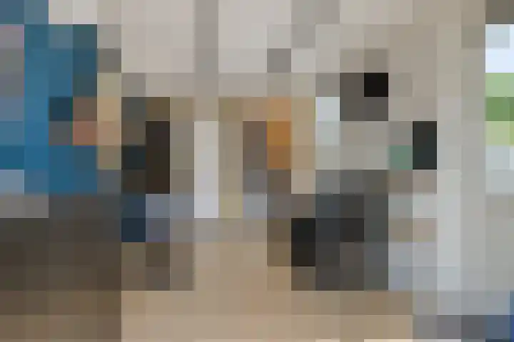 Klokbeker 25 Heesch thumbnail 24