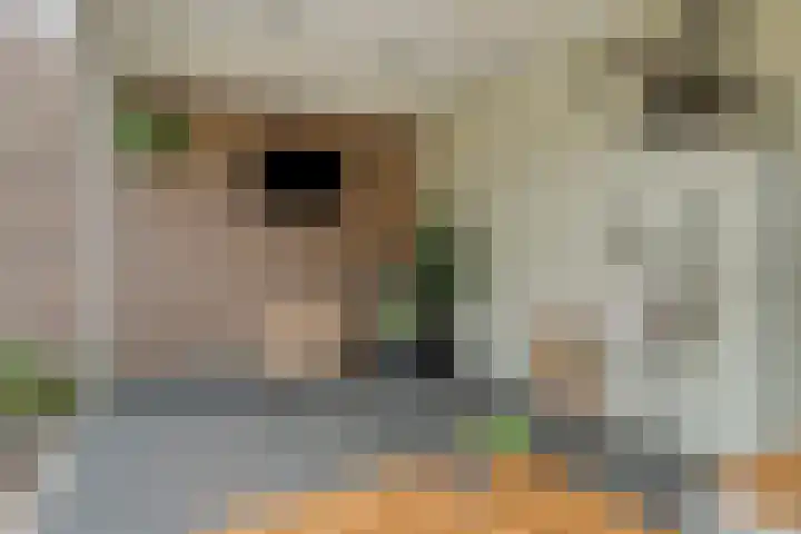 Klokbeker 25 Heesch thumbnail 27