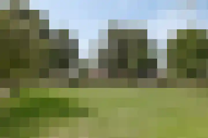 Klokbeker 25 Heesch thumbnail 32