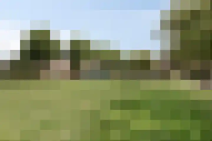 Klokbeker 25 Heesch thumbnail 33