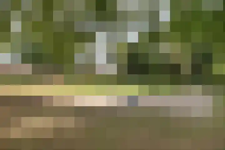 Klokbeker 25 Heesch thumbnail 34