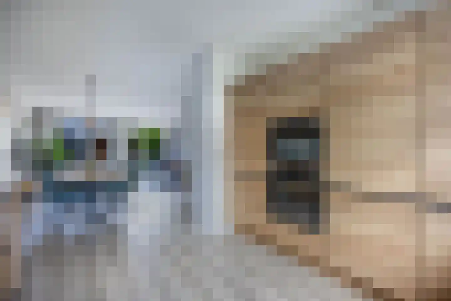 Klokbeker 27 Beverwijk thumbnail 13