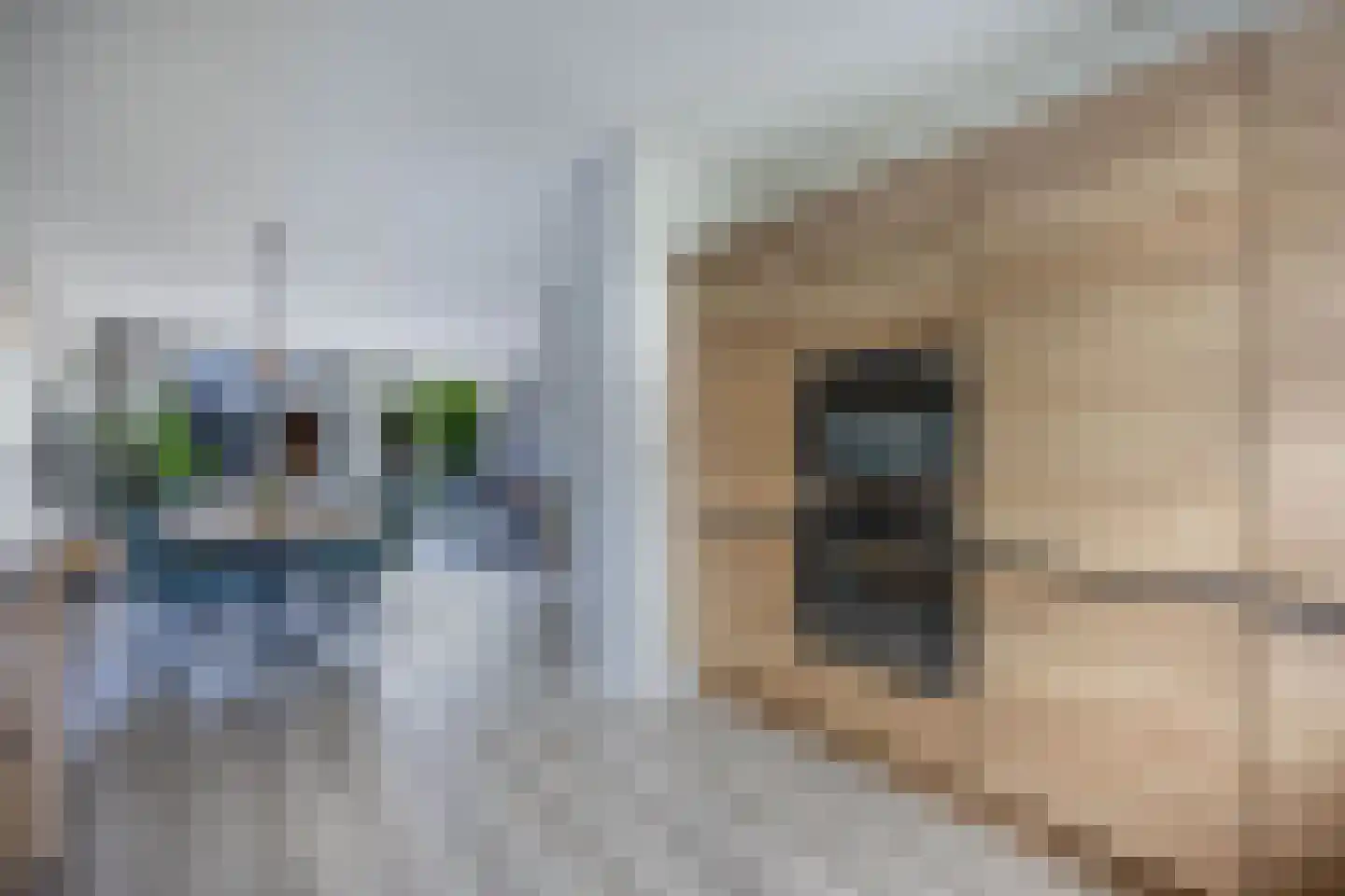 Klokbeker 27 Beverwijk thumbnail 13