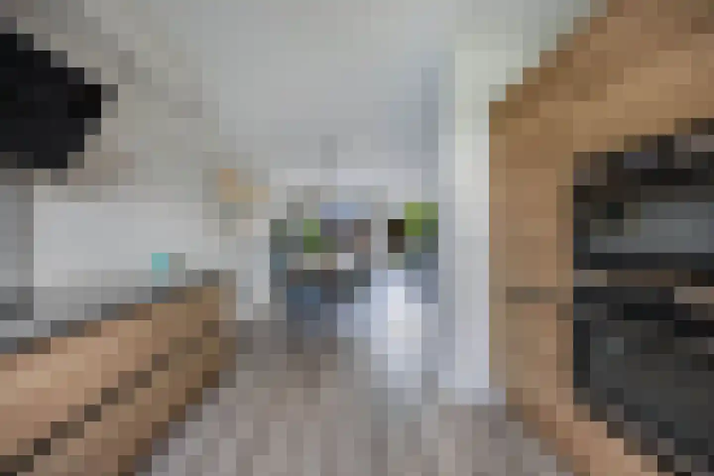 Klokbeker 27 Beverwijk thumbnail 14