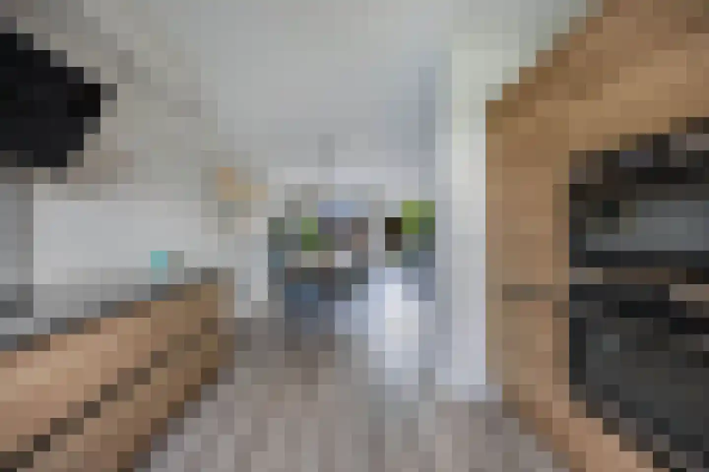 Klokbeker 27 Beverwijk thumbnail 14