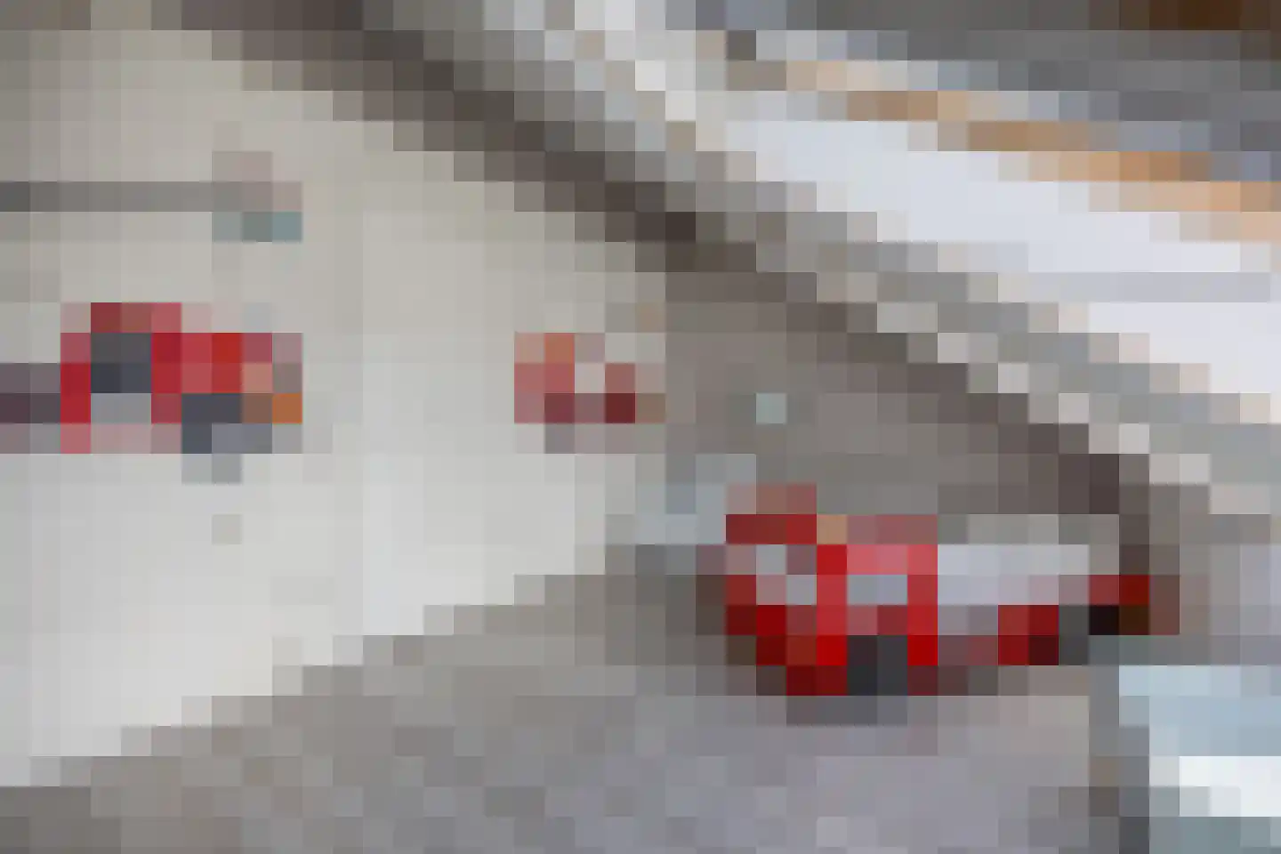 Klokbeker 27 Beverwijk thumbnail 31