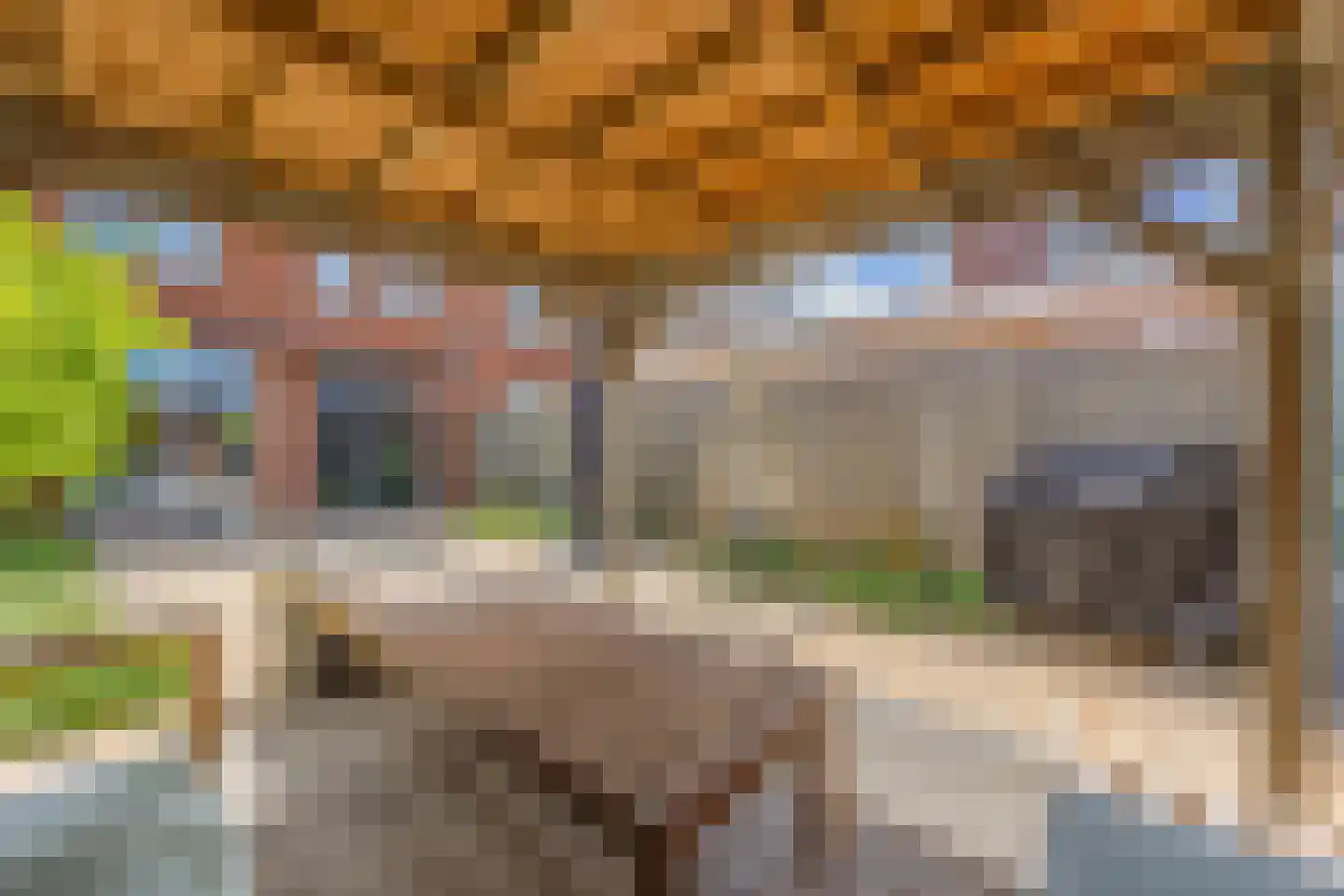 Klokbeker 27 Beverwijk thumbnail 36