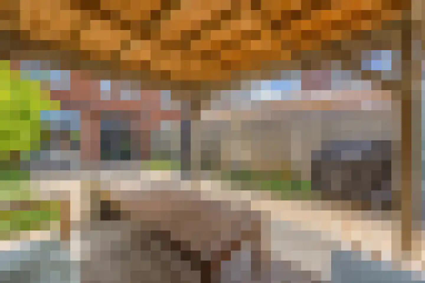 Klokbeker 27 Beverwijk thumbnail 36