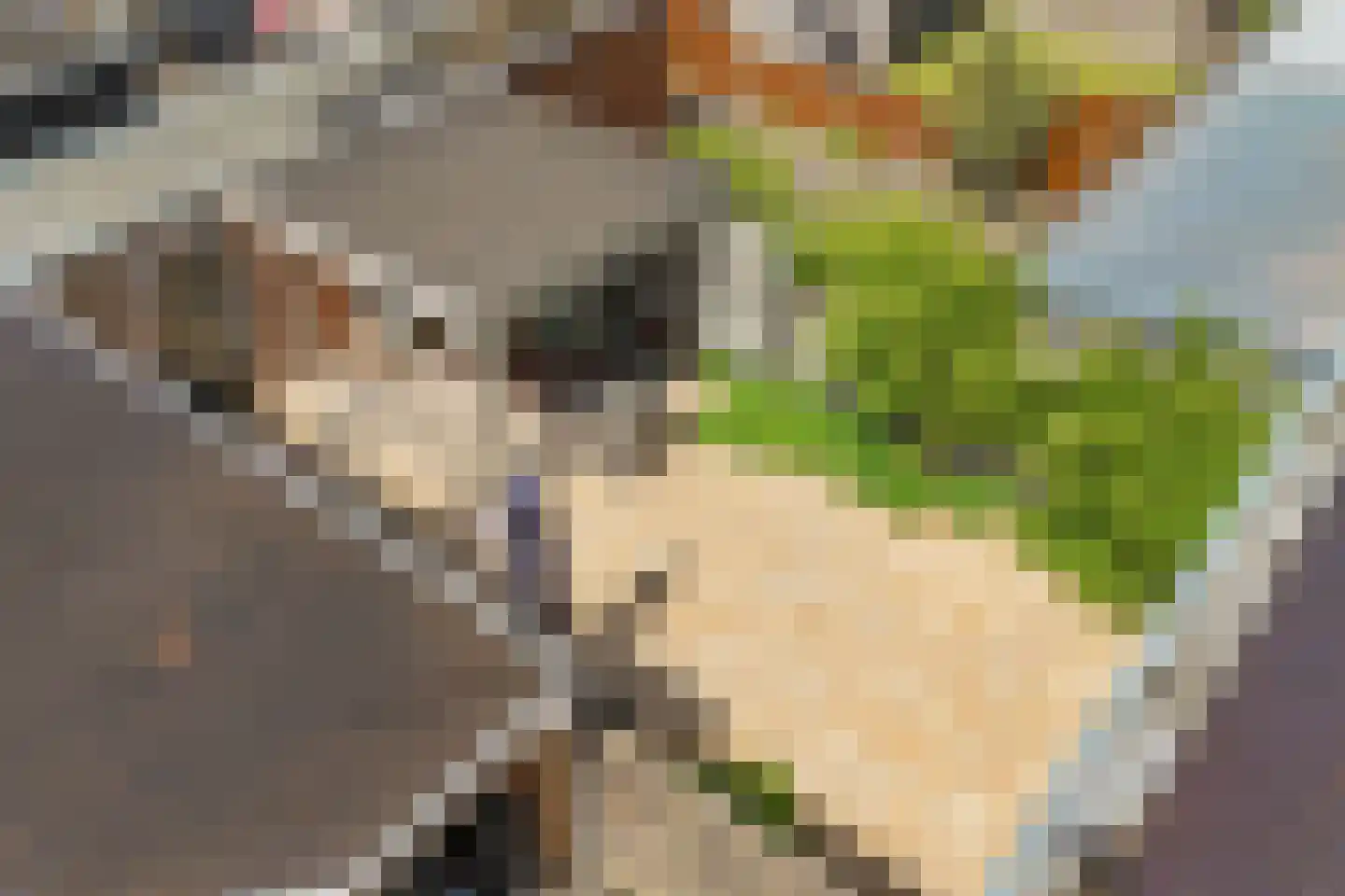 Klokbeker 27 Beverwijk thumbnail 38
