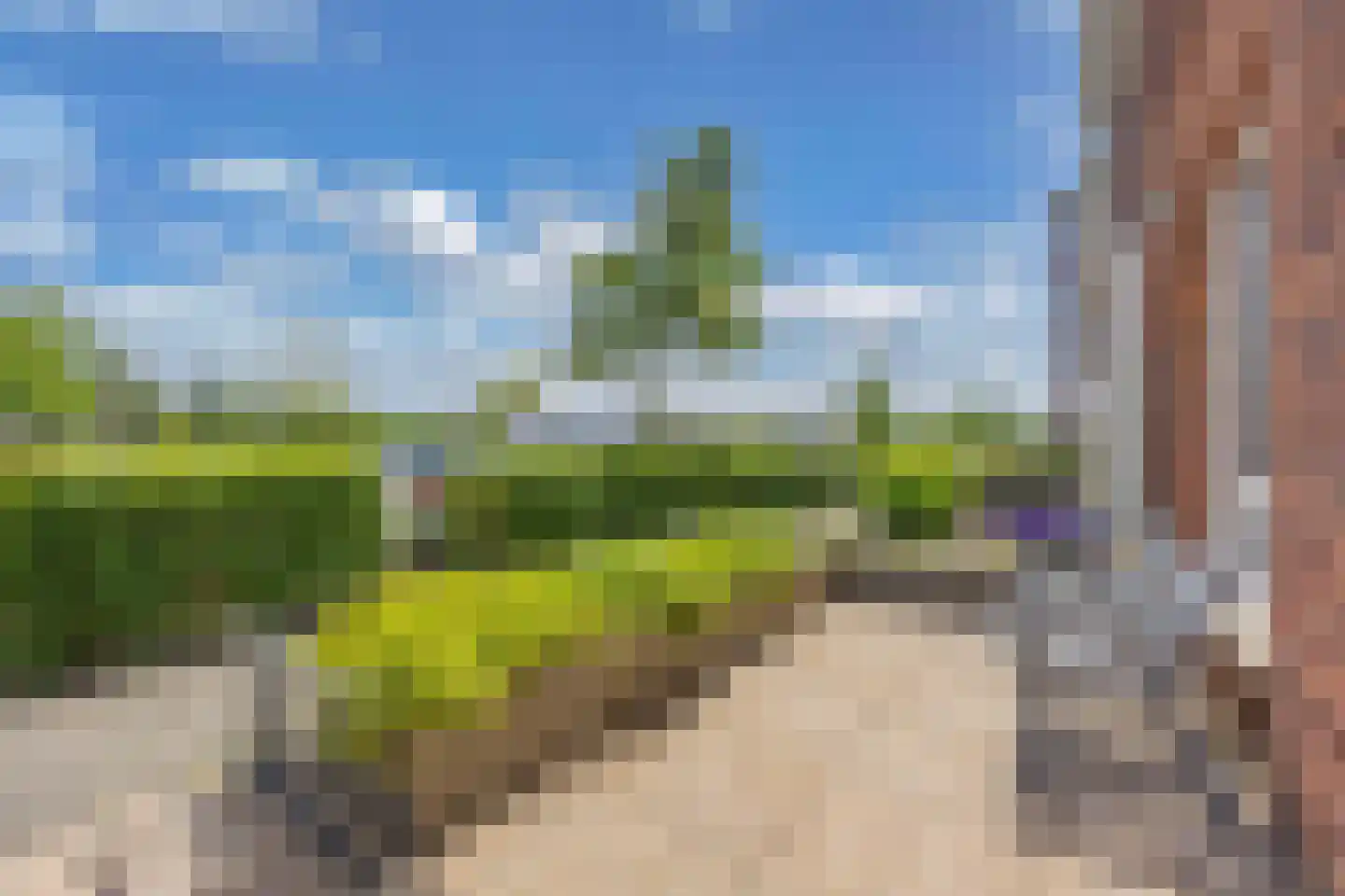 Klokbeker 27 Beverwijk thumbnail 42