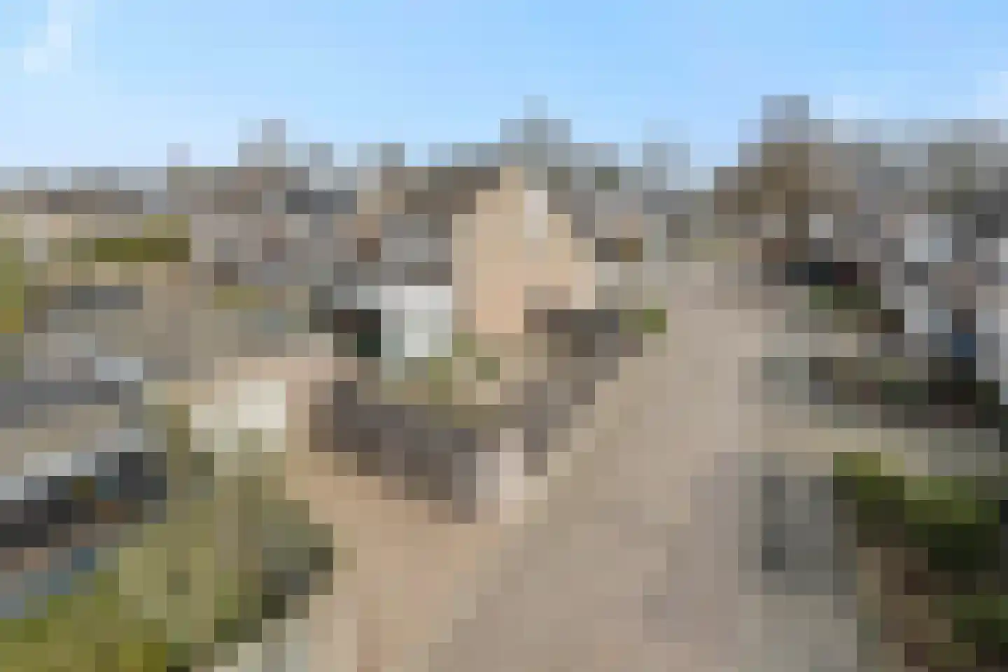 Klokbeker 40 Heesch thumbnail 44