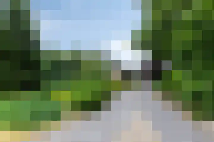 Klokhuisdijk 20 Langedijke thumbnail 10