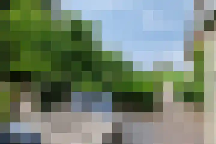 Klokhuisdijk 20 Langedijke thumbnail 47