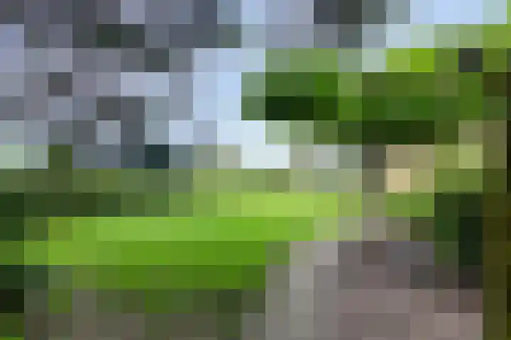 Klokhuisdijk 20 Langedijke thumbnail 51
