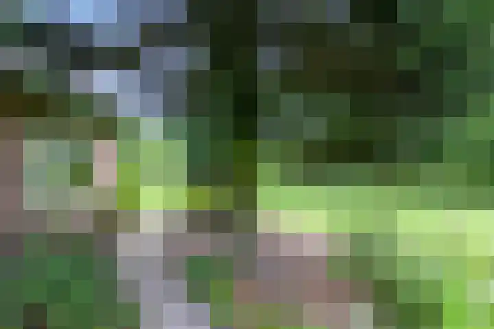Klokhuisdijk 20 Langedijke thumbnail 52