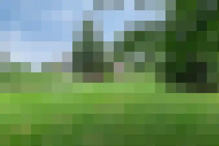 Klokhuisdijk 20 Langedijke thumbnail 53