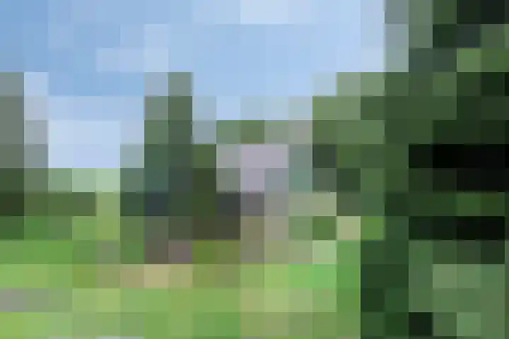 Klokhuisdijk 20 Langedijke thumbnail 54