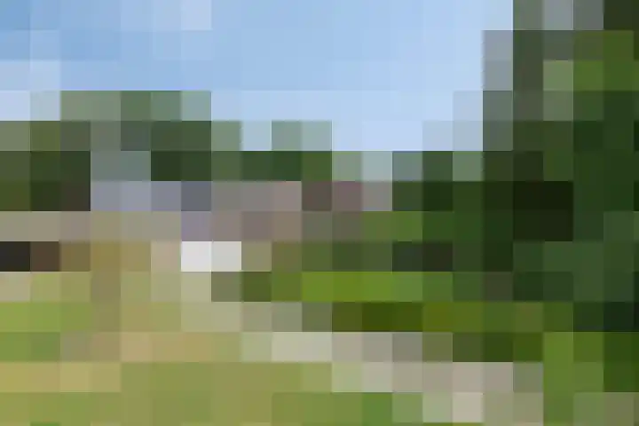 Klokhuisdijk 20 Langedijke thumbnail 6