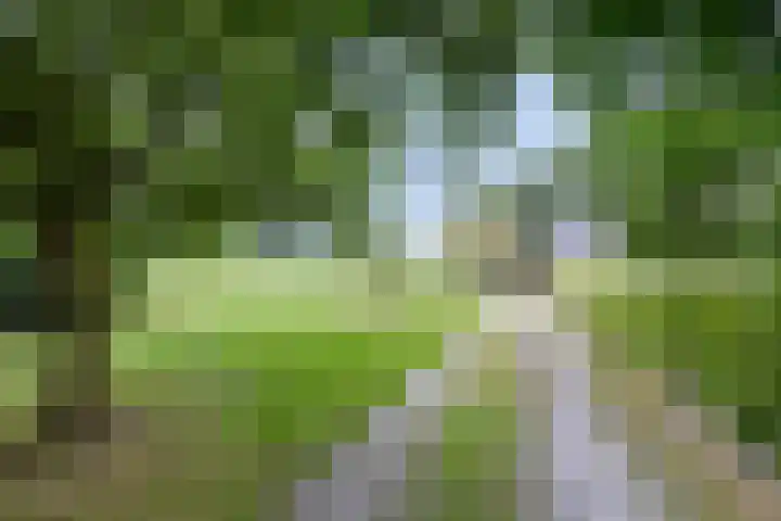 Klokhuisdijk 20 Langedijke thumbnail 60
