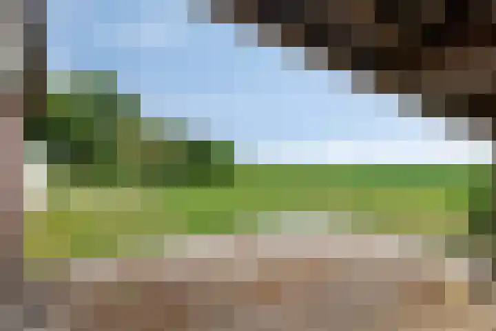 Klokhuisdijk 20 Langedijke thumbnail 66