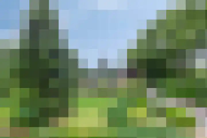Klokhuisdijk 20 Langedijke thumbnail 7