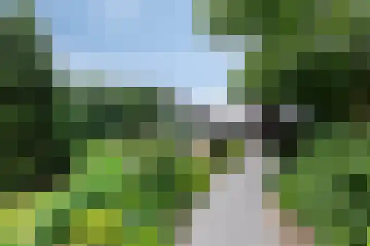 Klokhuisdijk 20 Langedijke thumbnail 8