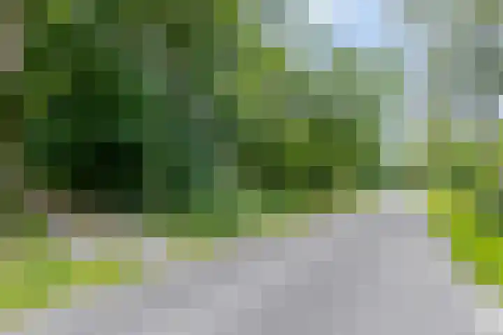 Klokhuisdijk 20 Langedijke thumbnail 9