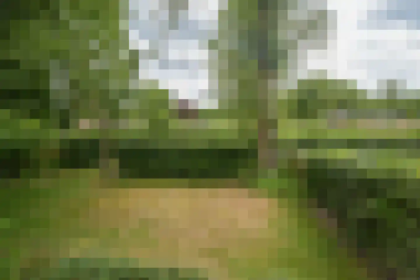 Klokhuisdijk 7 Langedijke thumbnail 41