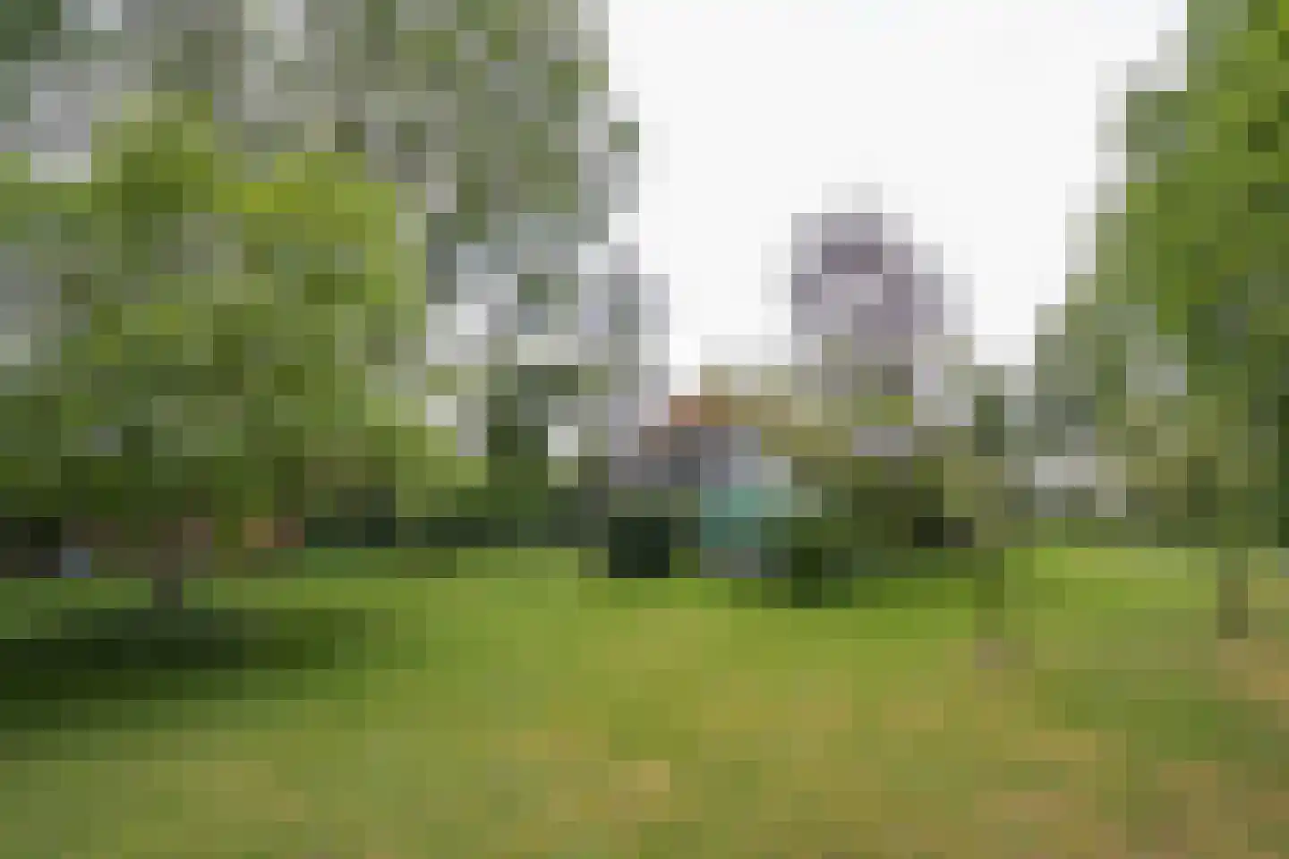 Klokhuisdijk 7 Langedijke thumbnail 45
