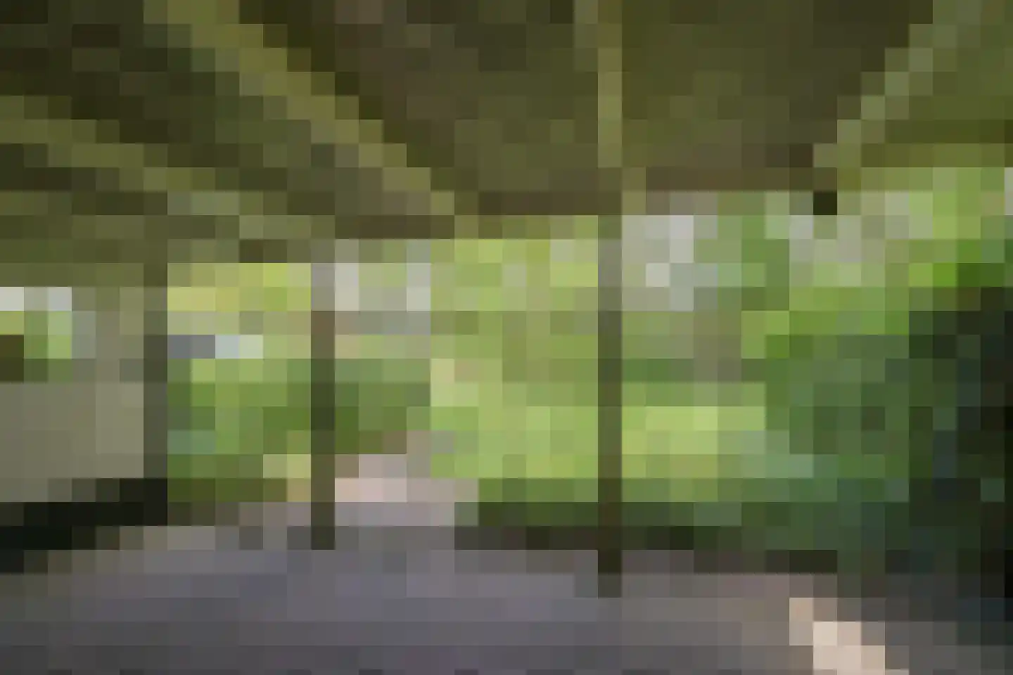Klokhuisdijk 7 Langedijke thumbnail 51