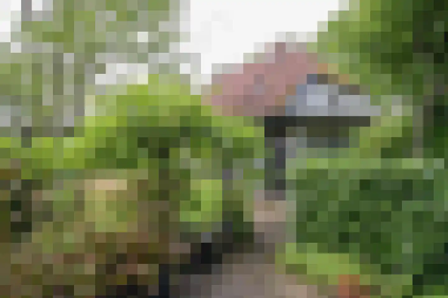 Klokhuisdijk 7 Langedijke thumbnail 53