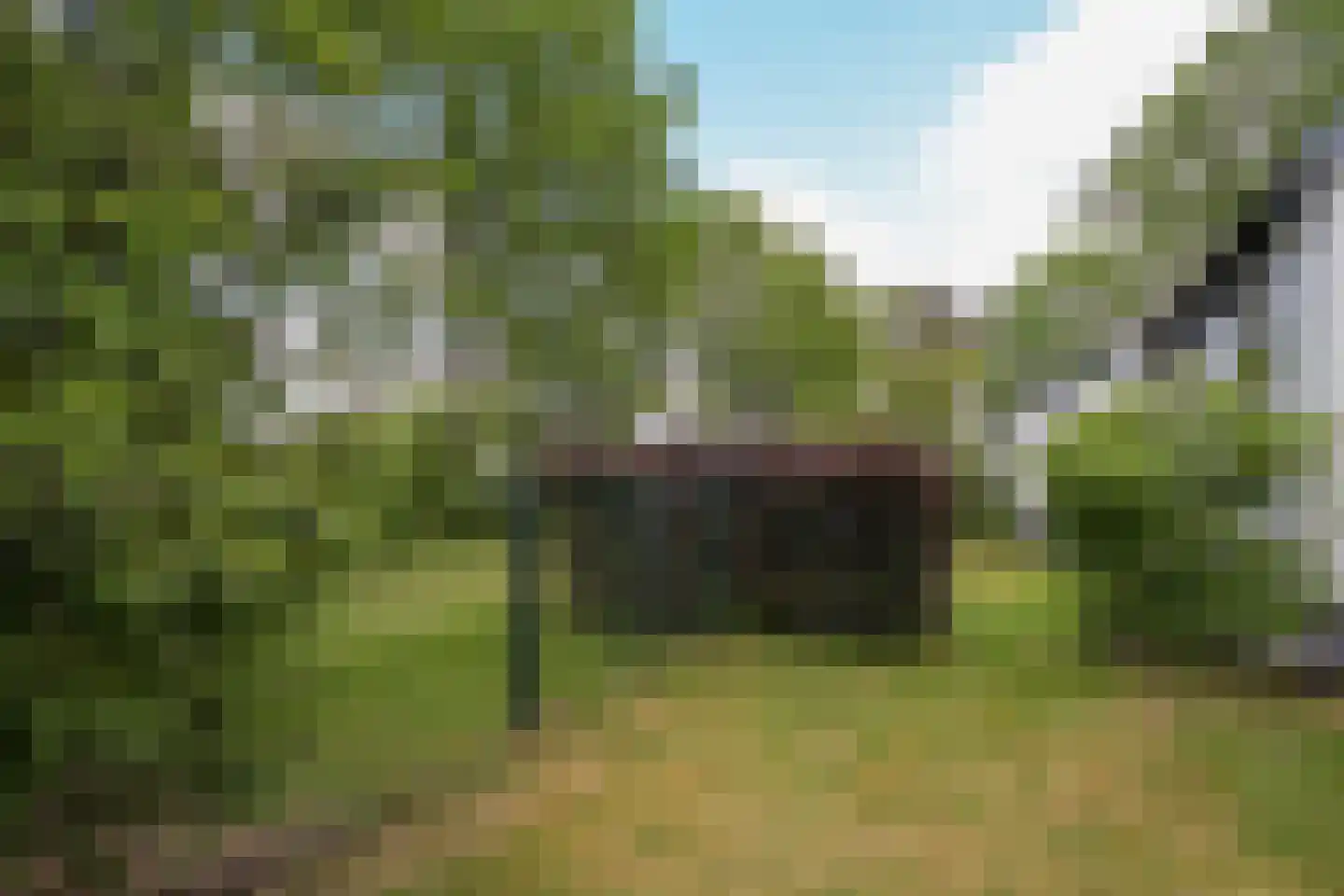 Klokhuisdijk 7 Langedijke thumbnail 56
