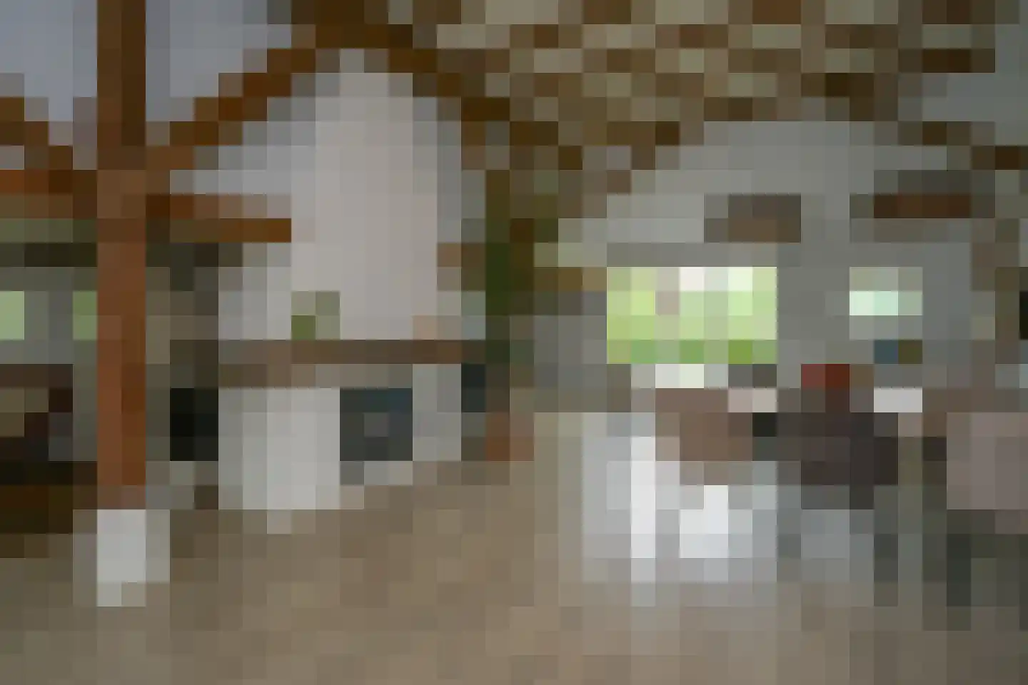 Klokhuisdijk 7 Langedijke thumbnail 6