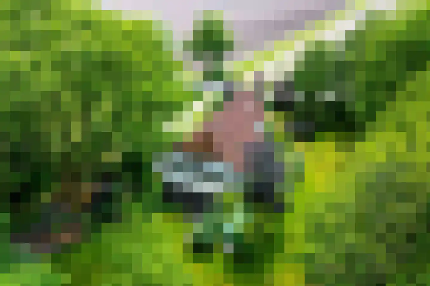 Klokhuisdijk 7 Langedijke thumbnail 69
