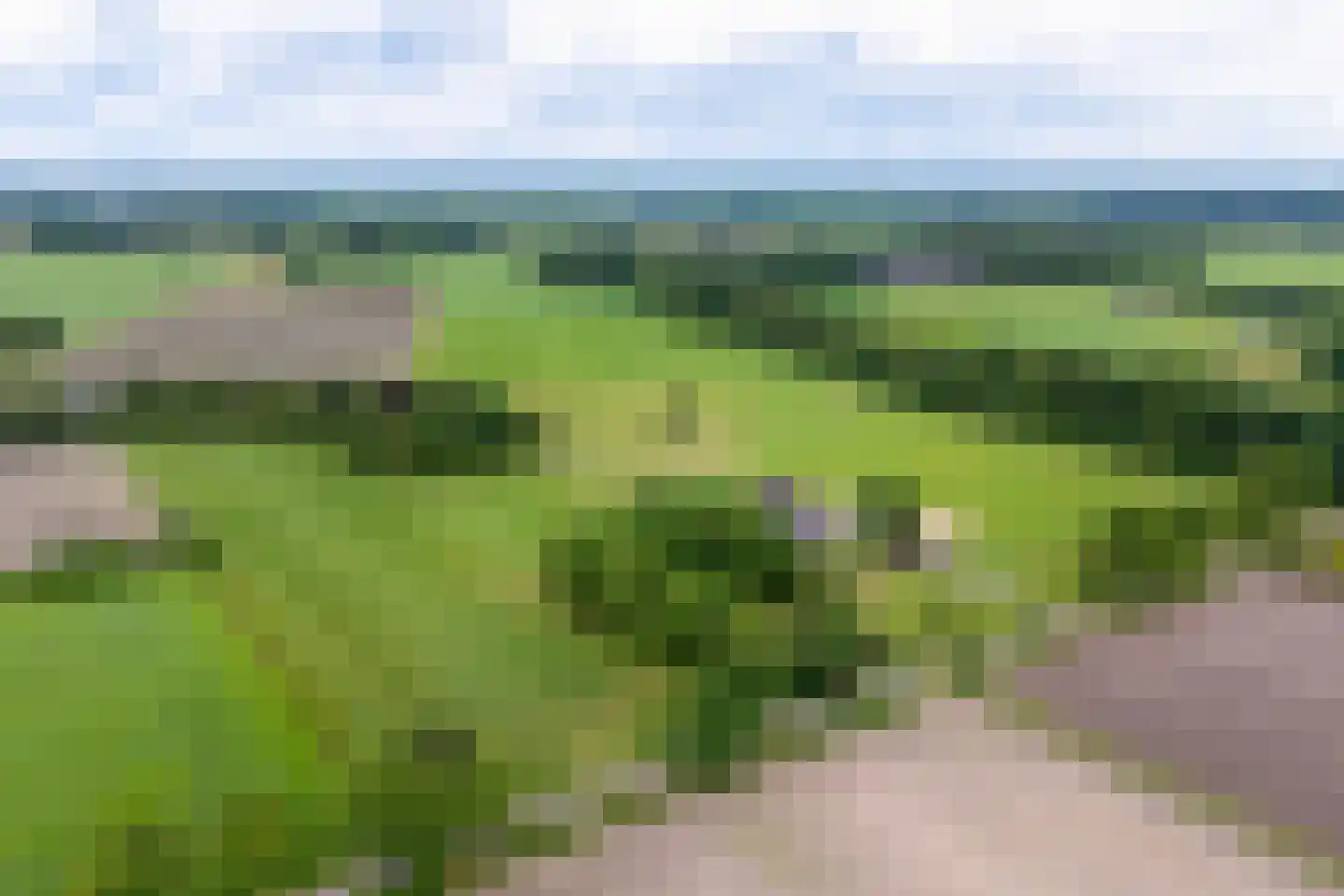 Klokhuisdijk 7 Langedijke thumbnail 74