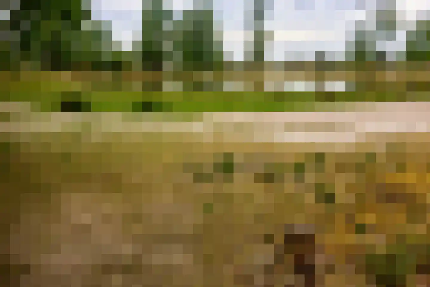Klokhuisdijk 7 Langedijke thumbnail 79