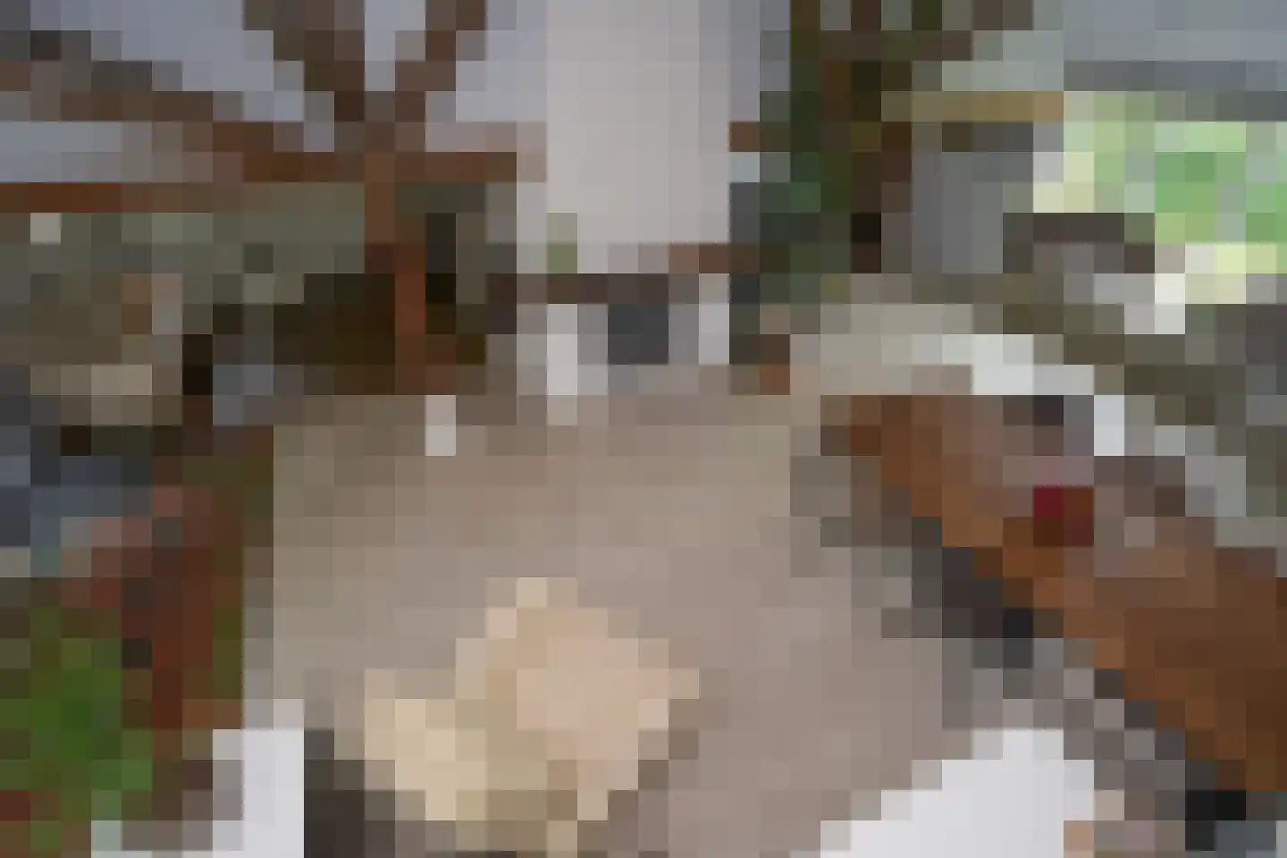 Klokhuisdijk 7 Langedijke thumbnail 8