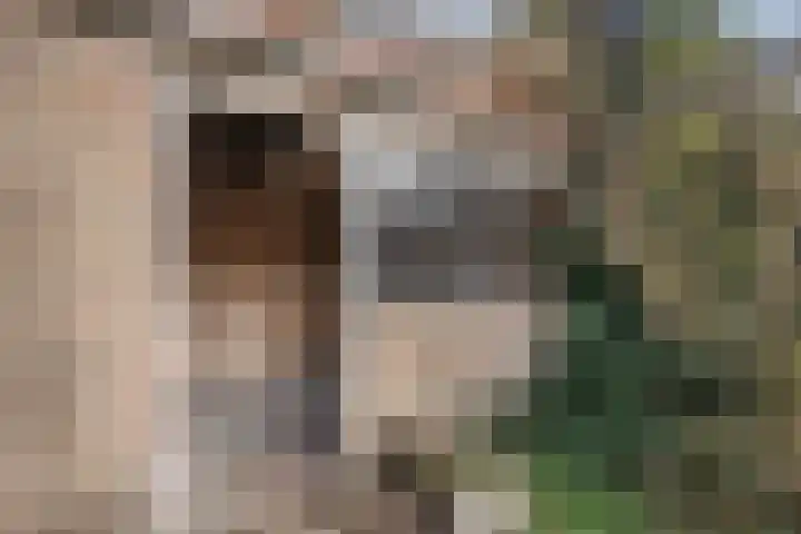 Klokhuislaan 21 Drachten thumbnail 39