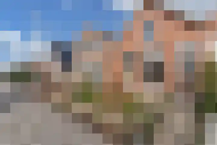 Klokhuislaan 21 Drachten thumbnail 6