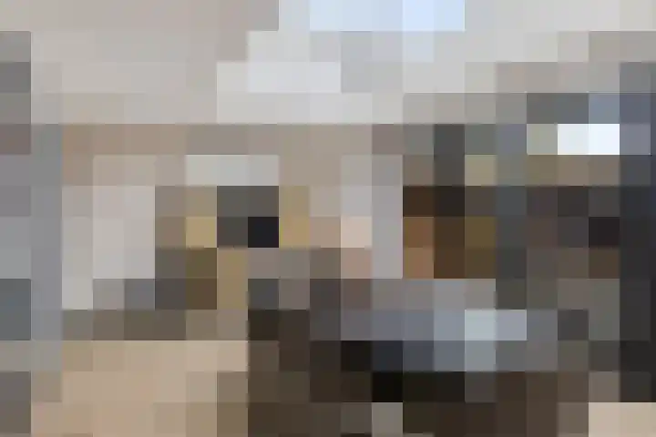 Klokhuislaan 5 Drachten thumbnail 16