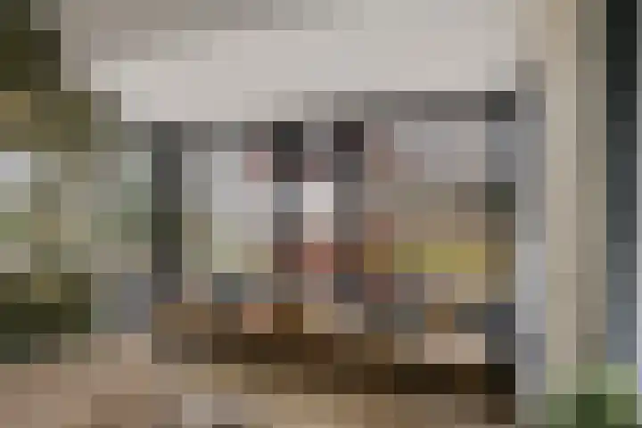 Klokhuislaan 5 Drachten thumbnail 7