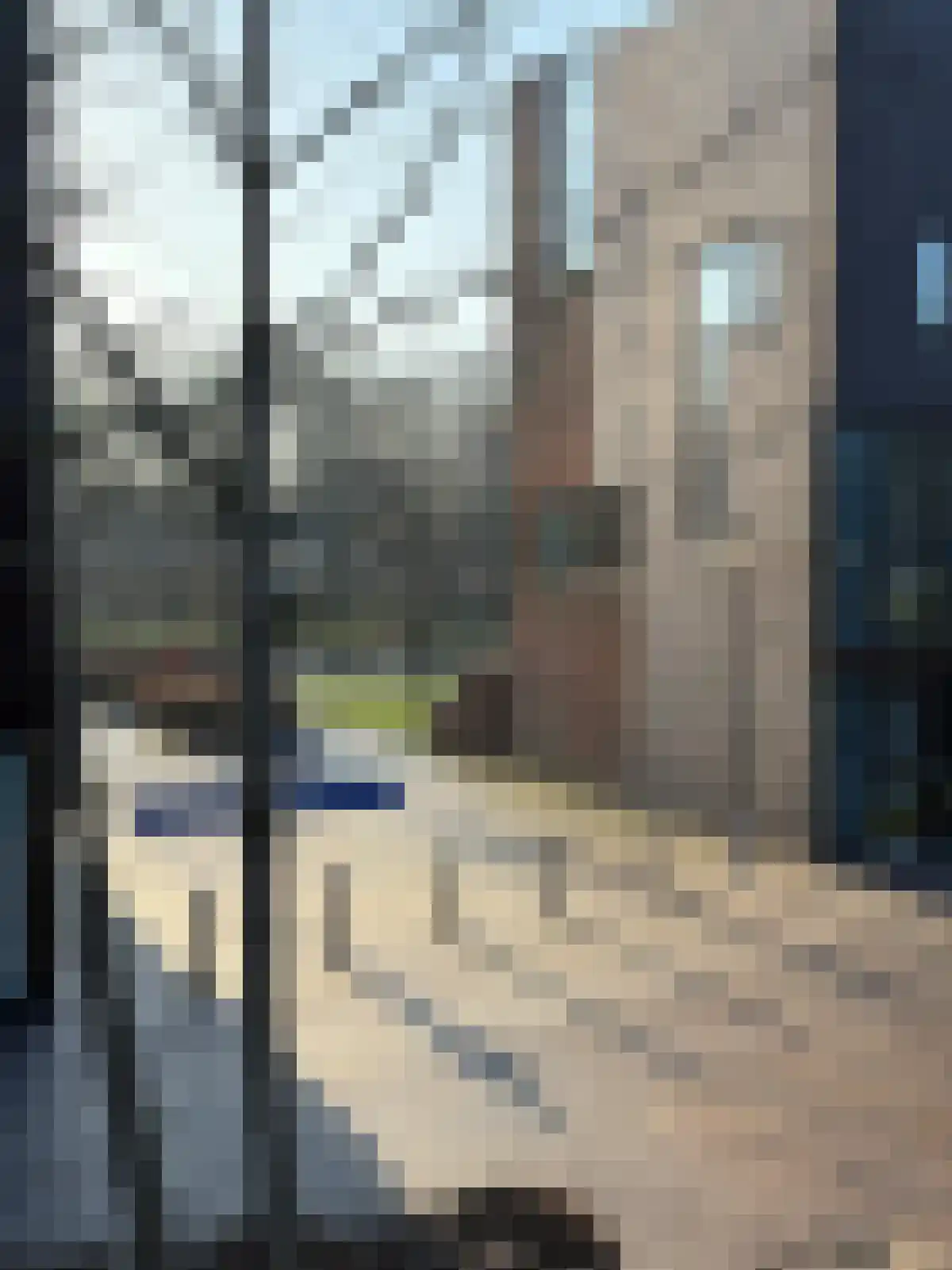 Klokjesbloem 13 Papendrecht thumbnail 16