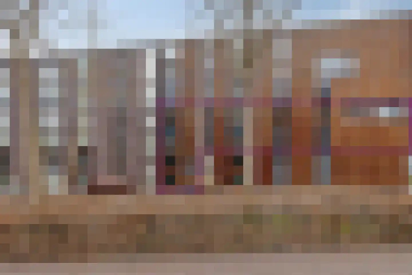 Klokjesbloem 13 Papendrecht thumbnail 6