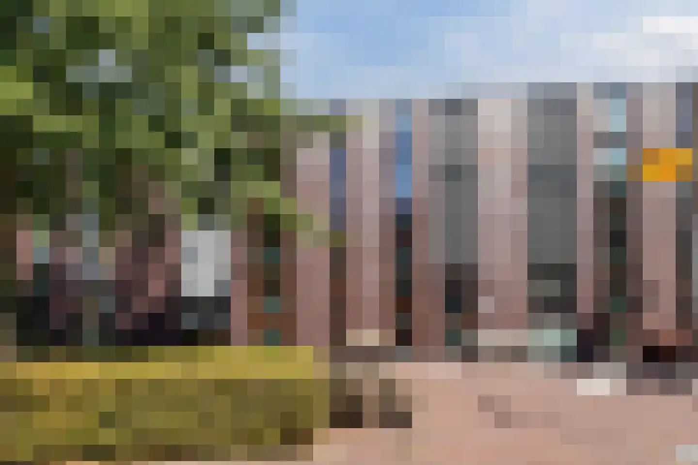 Klokjesbloem 7 in Papendrecht