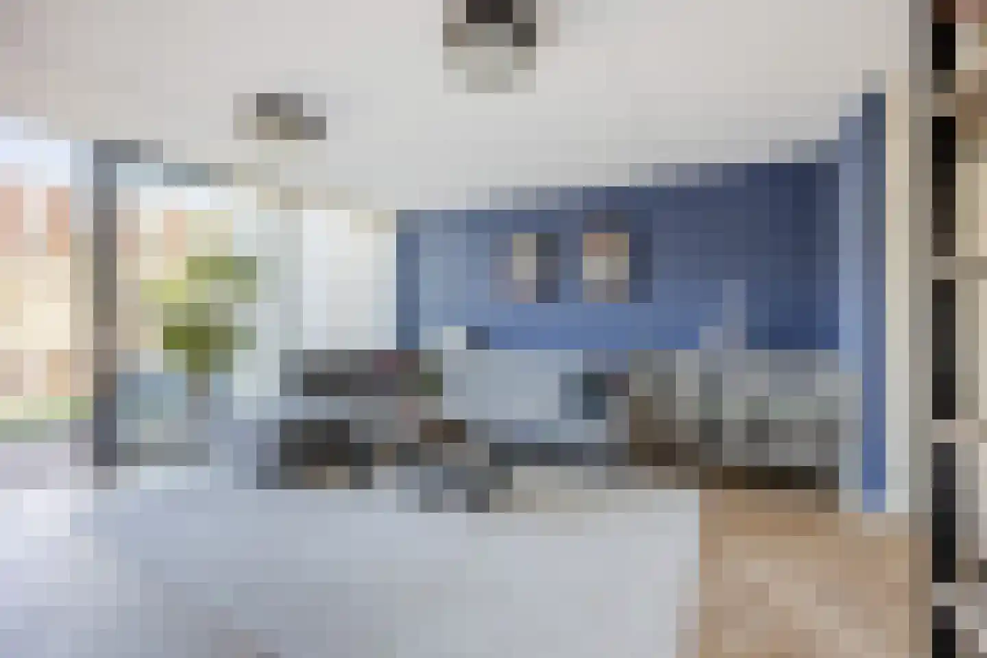 Klokjesbloem 7 Papendrecht thumbnail 12