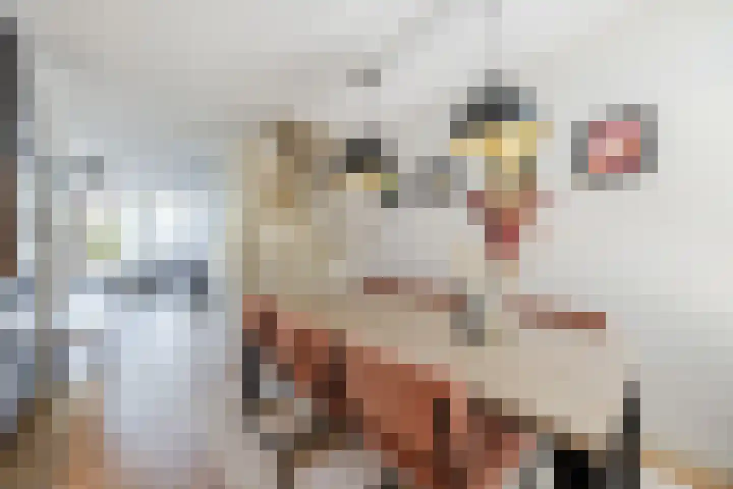 Klokjesbloem 7 Papendrecht thumbnail 19