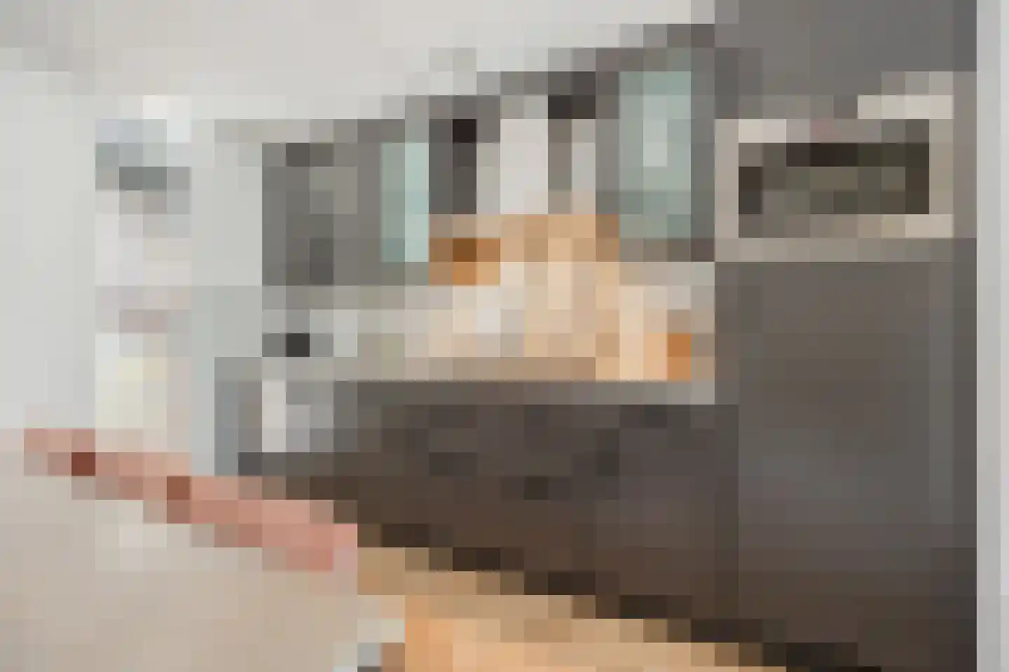 Klokjesbloem 7 Papendrecht thumbnail 20